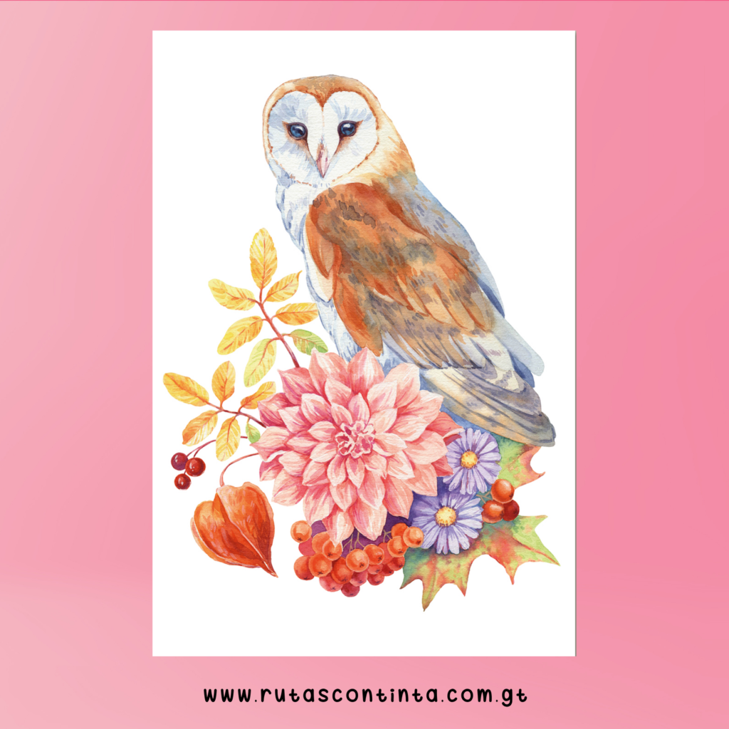Autumn owl