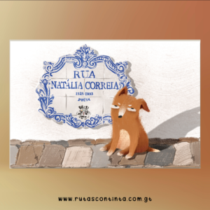 El guardián de la calle